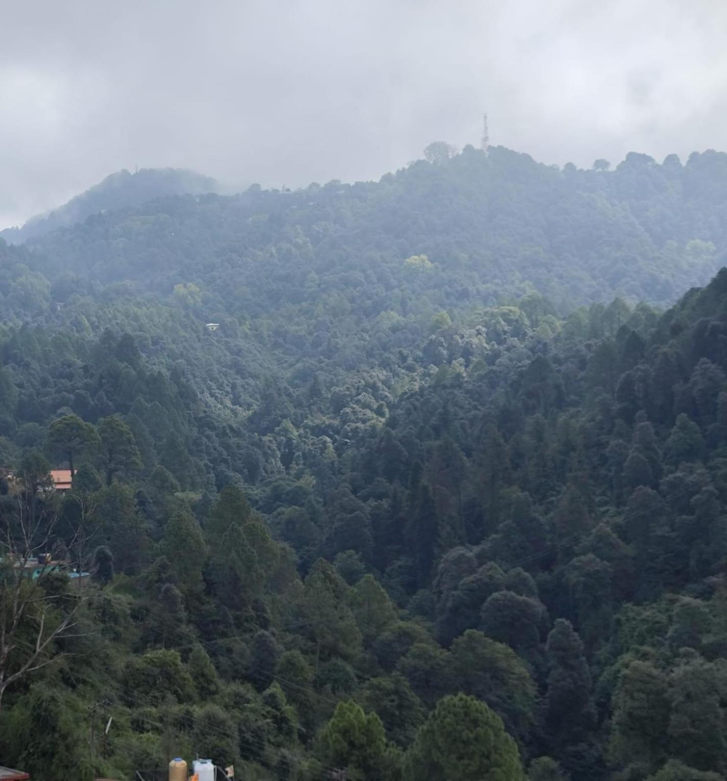 Hotel Mini Switzerland In Dalhousie Kültér fotó